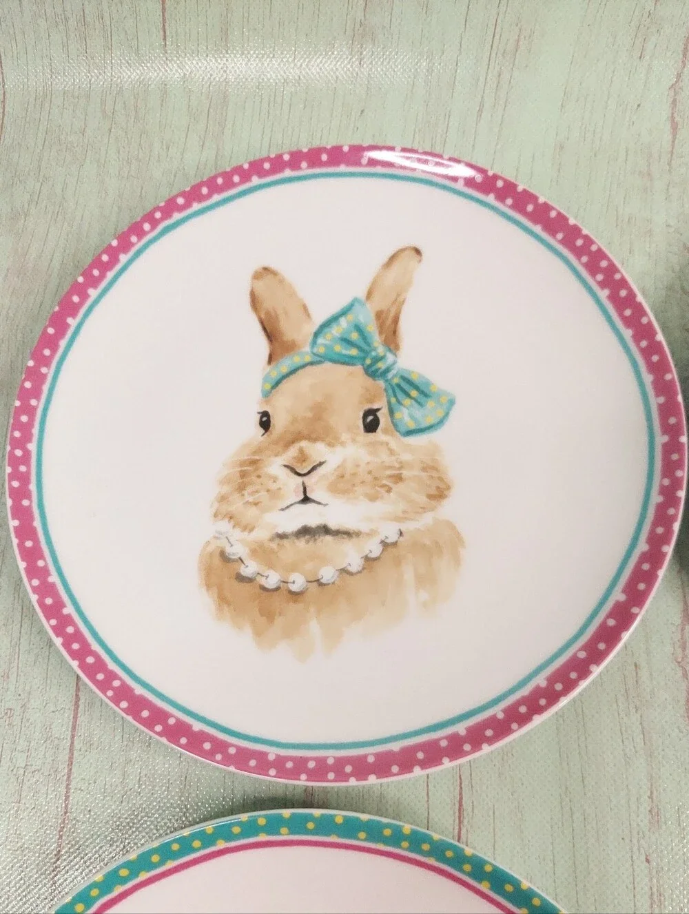 Pier 1 Imports Easter Bunny Plates Set Of 4